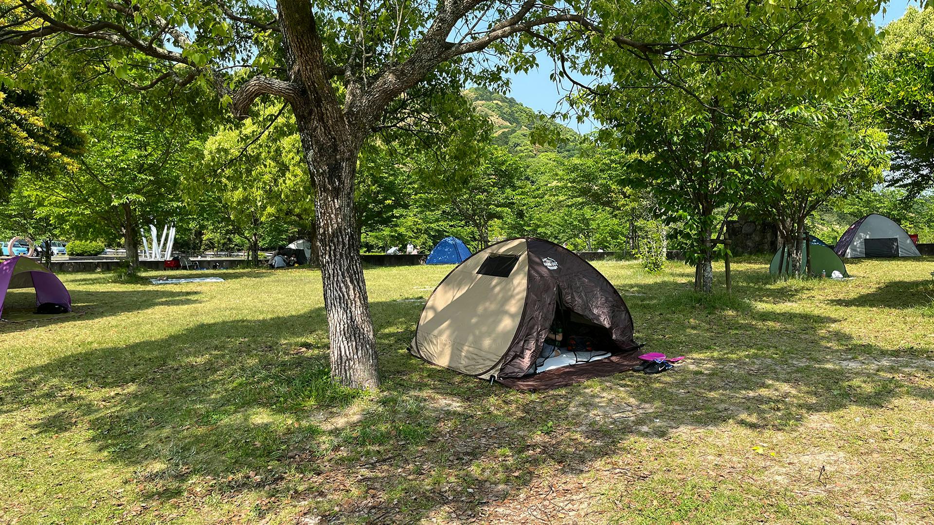 公園でテント