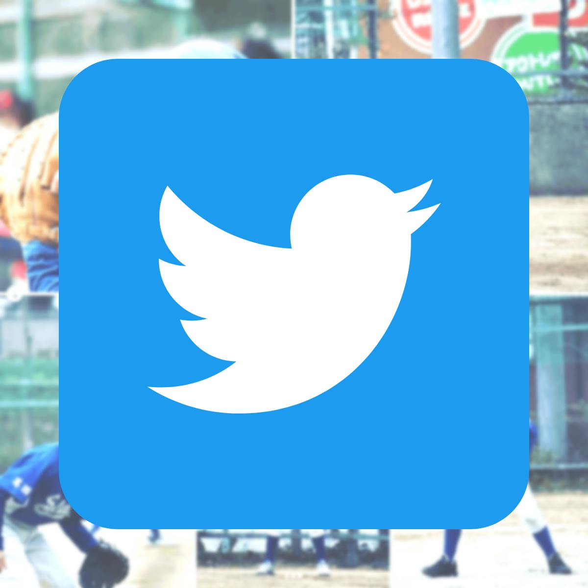 東京都江戸川区葛西西支部エリアを拠点に活動する少年野球チーム「七船スターズ」