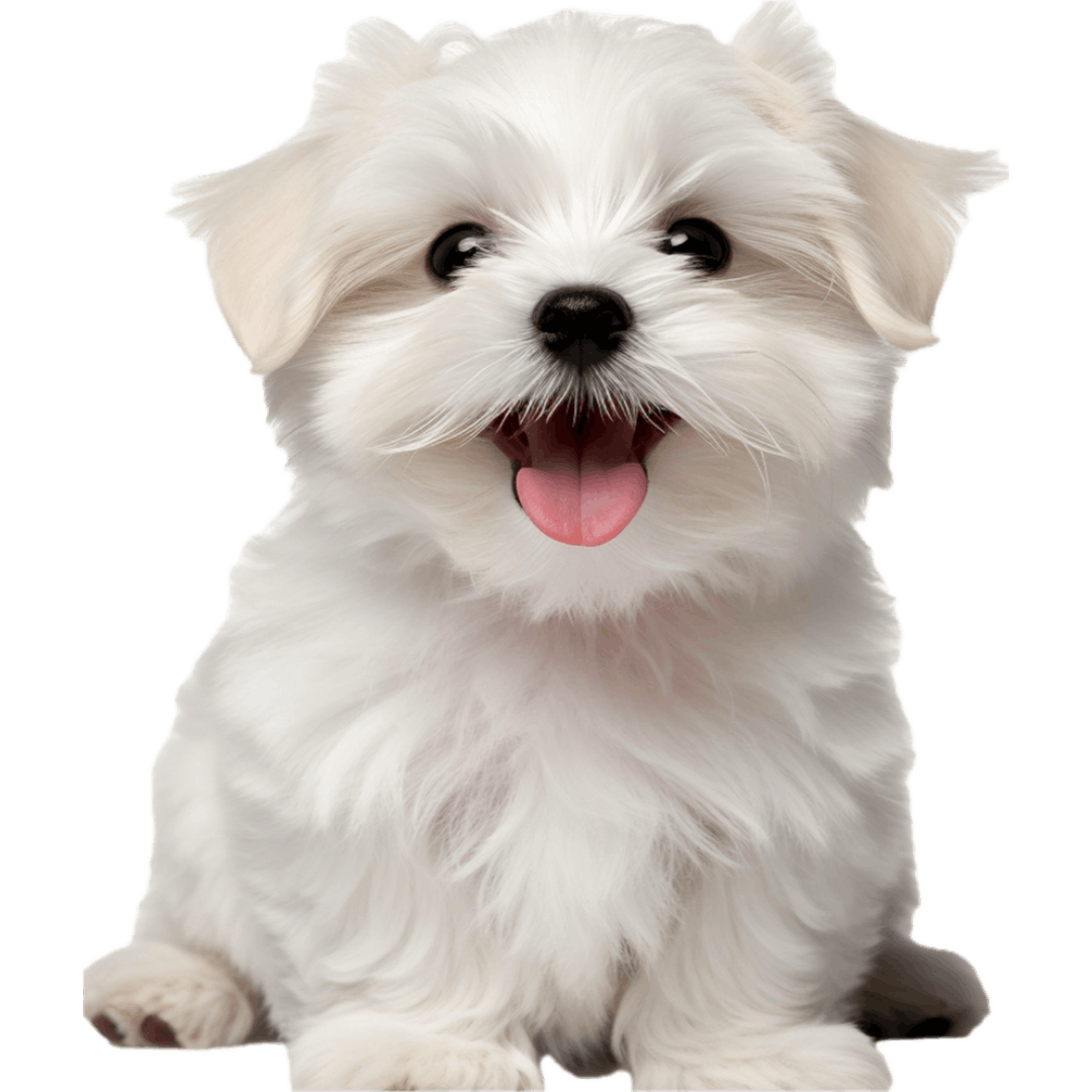 えみりサポート塾,家庭教師,岡山,岡山市,倉敷市,玉野市,赤磐