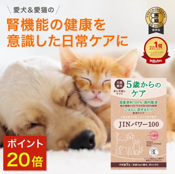 わんにゃんスマイルフェス025・秋｜わんにゃんスマイルフェス2025・秋