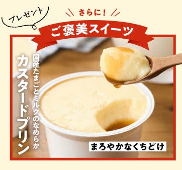 【2025年】Oisixクリスマスセールのプレゼント