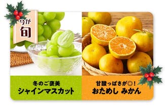 【2025年】オイシックスのクリスマスセール74%OFFお試しセットが超お得！