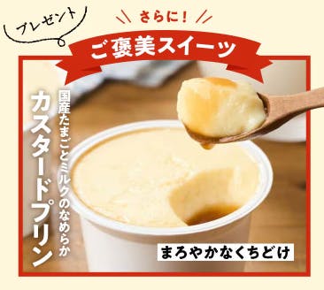 【2025年】オイシックスのクリスマスセールお試しの無料クーポン