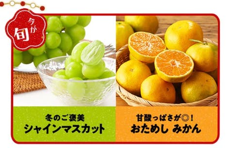 倍増の季節 4枚セット 2025年完売】2026年7月頃～予約開始予定|特選ぶどうスチューベン約4kg